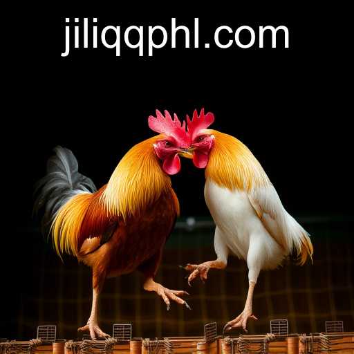 JILIQQ.COM